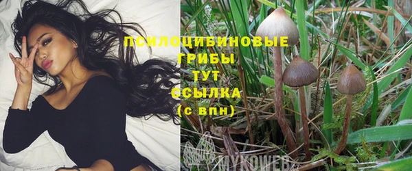 ешки Абинск
