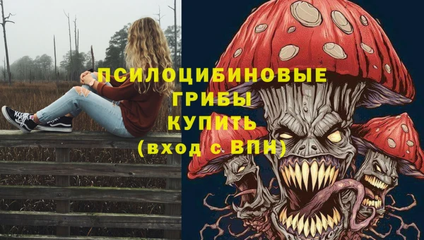 ешки Абинск