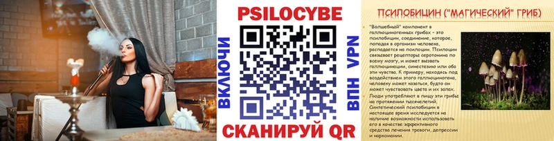 ссылка на мегу маркетплейс  Новотитаровская  Псилоцибиновые грибы GOLDEN TEACHER 